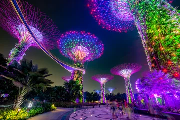 Foto auf Glas Magischer Garten bei Nacht, Singapur © aiisha