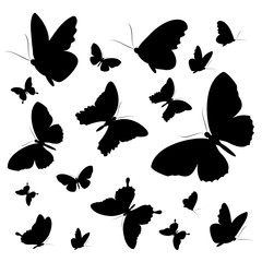 butterflies design