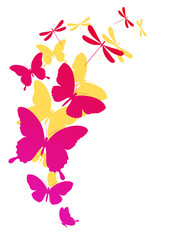 Obraz premium butterflies design
