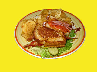 Ham and cheese sandwich with toasted bread