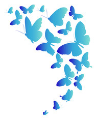 butterflies design