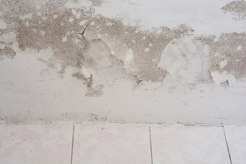 Mold