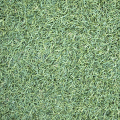 Artificial Grass Field Top View Texture
