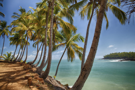 Les îles du Salut - Guyane