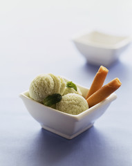 Mint Sorbet ice cream