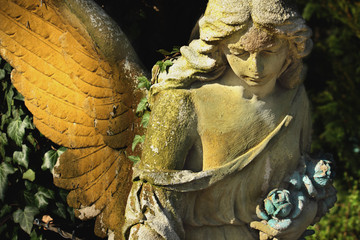 golden angel in the sunlight (antique statue)