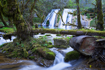 arbres au premier plan et cascade dans le Jura