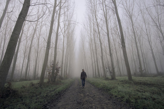 Man walking on a dirty road between fog and trees