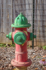Fototapeta na wymiar Red and green fire hydrant with wood fence behind it.