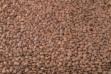 coffee beans background