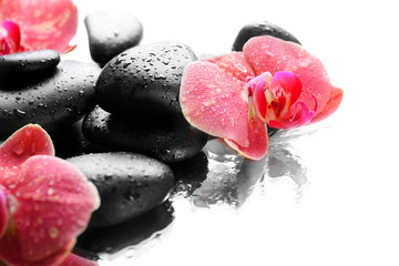 Black spa stones and orchids isolated on white