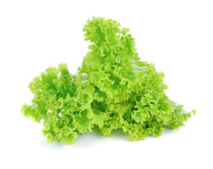 Obraz premium Fresh green lettuce isolated on a white background