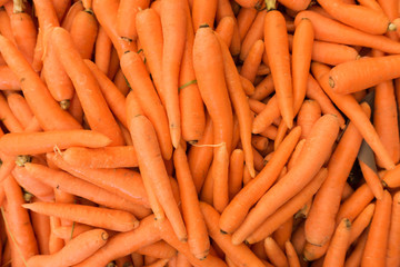 carrot background