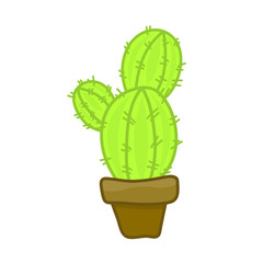 cactus isolated illustration