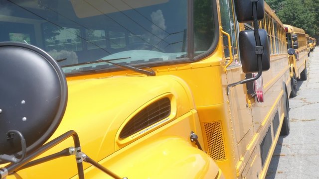 Parked school bus row