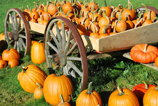 Pumpkin Wagon