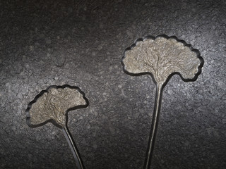 crinoid sea lily fossil feature on bedrock © dannyburn