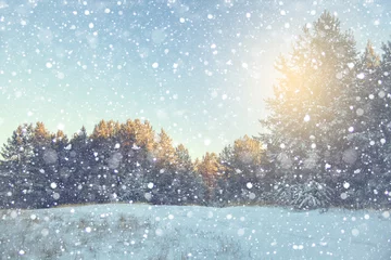 Photo sur Plexiglas Bleu clair Paysage d& 39 hiver