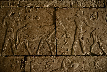 Ancient Egypt Hieroglyphics on Brick
