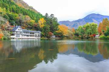 Fototapeta premium Lake Kinrinko in Yufuin, Kyushu, Japan