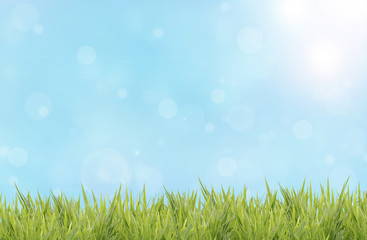 Fototapeta na wymiar Spring or summer abstract nature background with grass field
