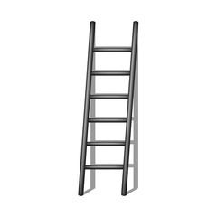 Wooden ladder in black design with shadow