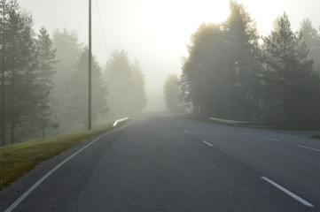 Foggy open road