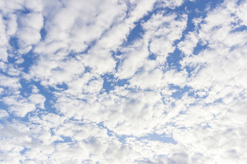 Fototapeta premium blue sky with cloud