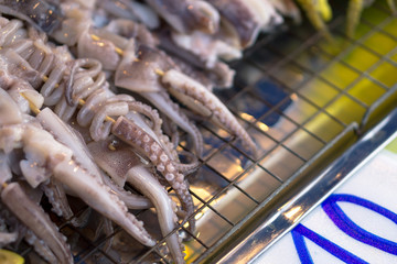 Grill squid stick
