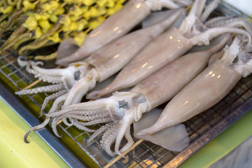 Grill squid stick