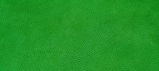 Leather green texture © Masato