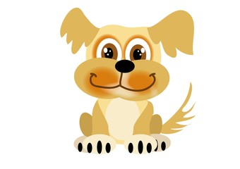 pies, Kooikerhondje © monikakosz