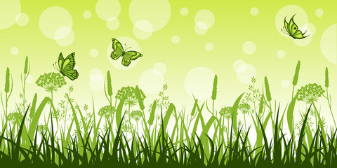 Fototapeta premium Summer meadow with flowers and butterflies