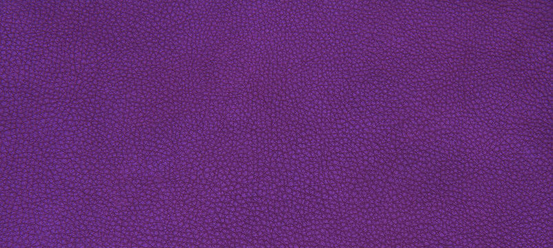 Leather Purple Texture