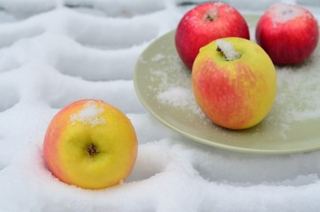 Apples in the snow.