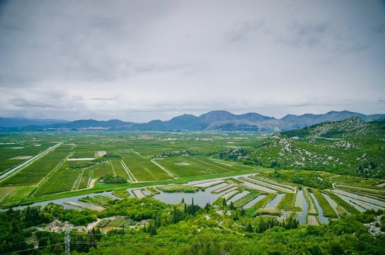 top view of the rice field. European agriculture
