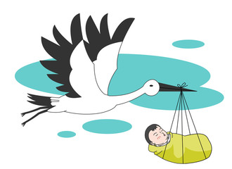 cooltree15_임신태아