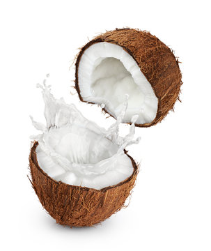 Coconuts with milk splash on white background.