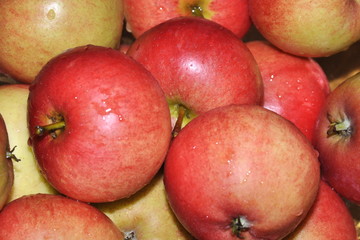 Closeup on red newly picked apples