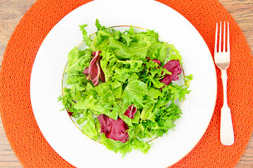 Salad Mix  Batavian, Frise, Radicchio, Chicory