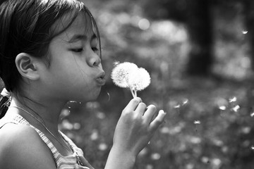 Little girl blowing a dandelion