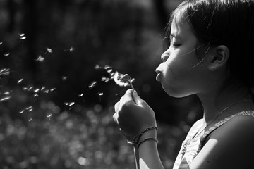 Little girl blowing a dandelion