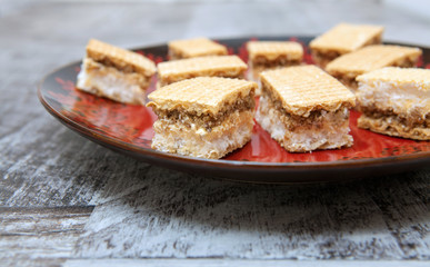 Fototapeta na wymiar Sweet Biscuit with Chocolate and Coconut