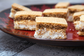 Sweet Biscuit Made with Chocolate and Coconut