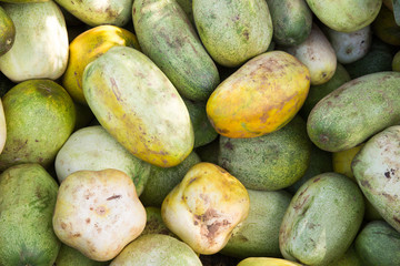 Division cucumber grown by Karen hill tribe.