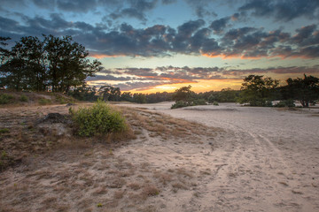 Shifting Sand Korte duinen