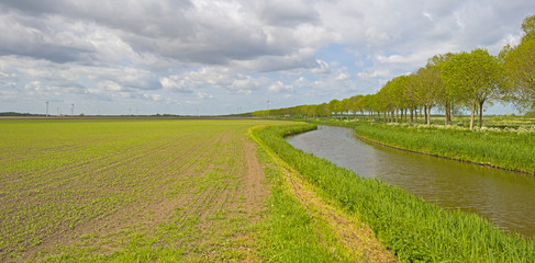 Canal through sunny farmland in spring 
