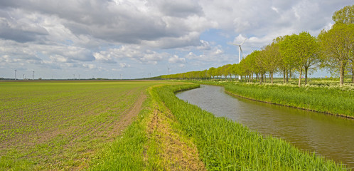 Canal through sunny farmland in spring 
