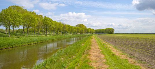 Canal through sunny farmland in spring 