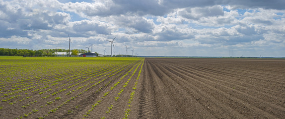 Plowed field with furrows in sunlight in spring 